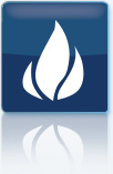 Natural Gas Pricing Information Category from Platts